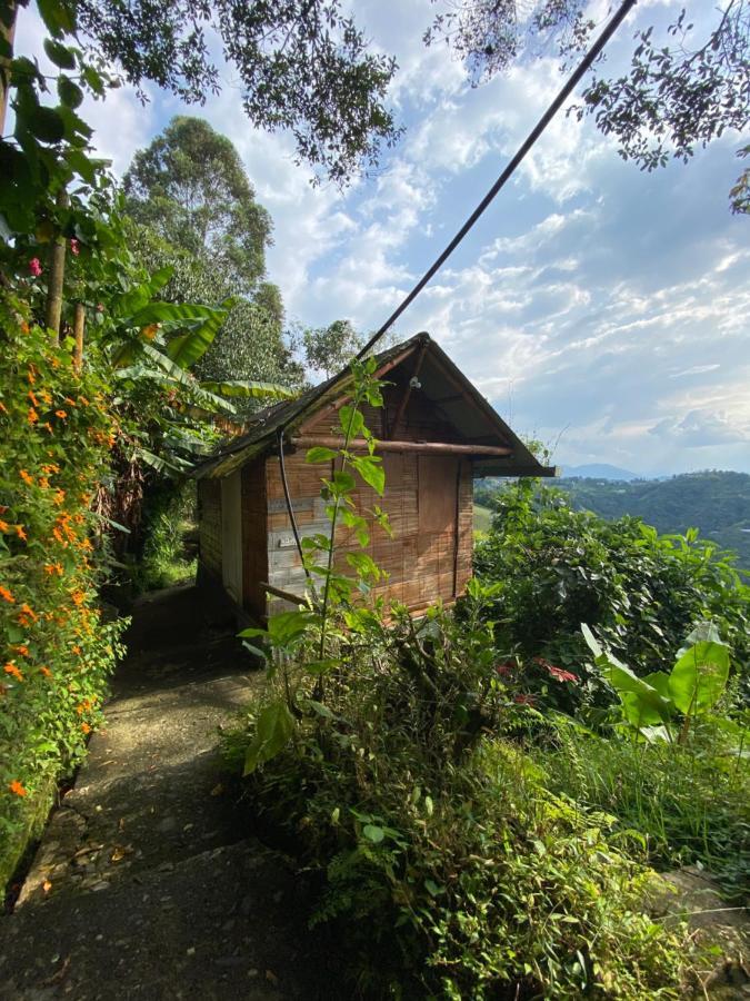 מניזאלס Eco Lodge La Juanita מראה חיצוני תמונה
