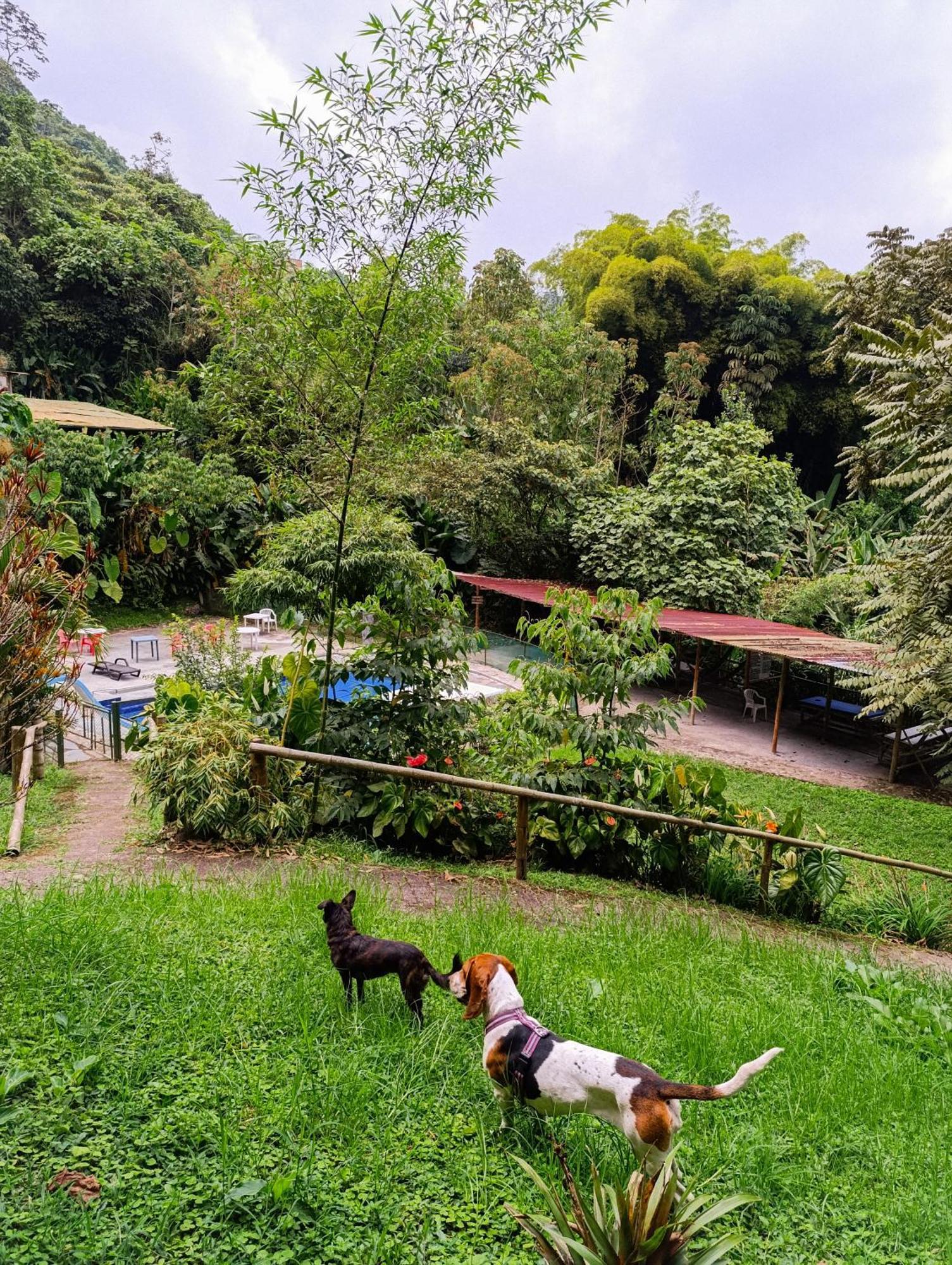 מניזאלס Eco Lodge La Juanita מראה חיצוני תמונה